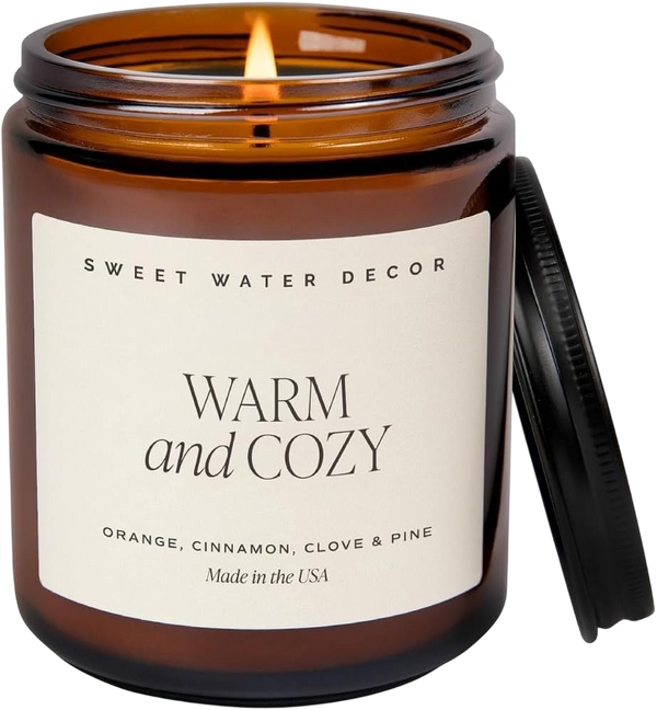 Sweet Water Decor Soy Candle - Orange Peel, Cinnamon, Ginger and Clove Scented Candles
